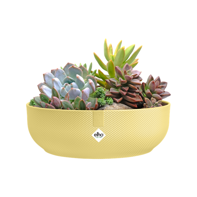 jazz bowl 28cm cream yellow